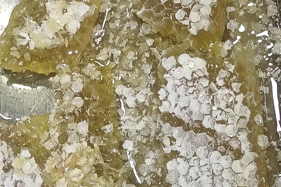 Close-up of comb honey with white sugar crystals growing across the wax cells and golden honey between them