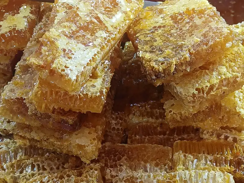 Stacked rectangular pieces of cut comb honey with capped wax cells and honey glistening on the cut edges