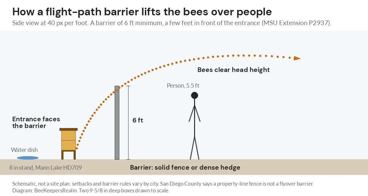 Side-view diagram of a hive on a stand with a 6-foot barrier in front of its entrance lifting the flight path over a person