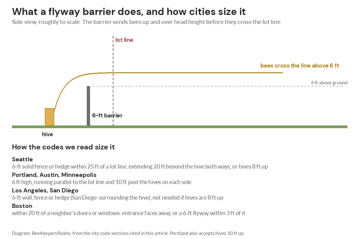 Side-view diagram of a 6-foot flyway barrier sending bees above head height, with each city barrier rule