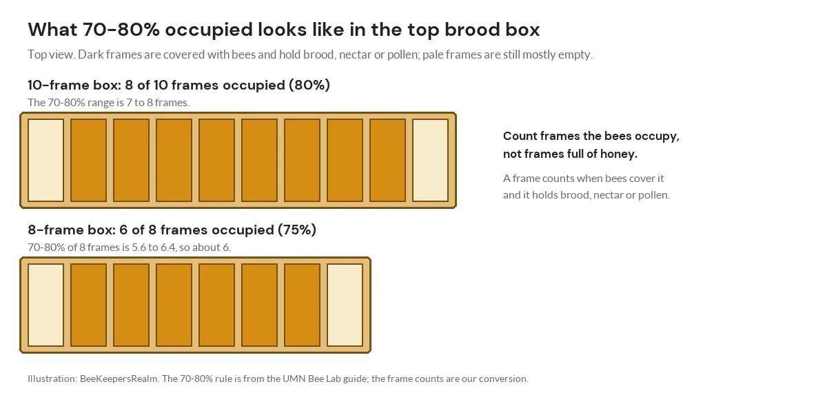 Top-view diagram of a 10-frame box with 8 frames occupied and an 8-frame box with 6 frames occupied, the point to add a super