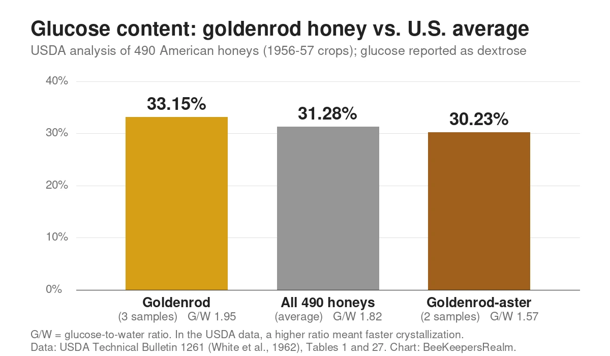Bar chart: goldenrod honey averaged 33.15% glucose in USDA tests, above the 31.28% average of 490 U.S. honeys