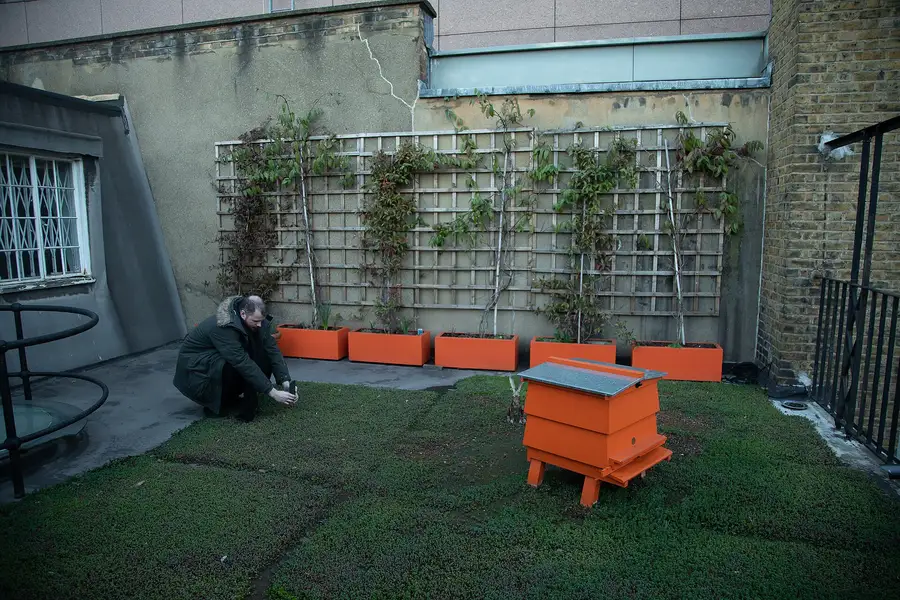 Orange beehive on a green roof with planters of climbing plants and a guard rail at the edge, Conway Hall, London
