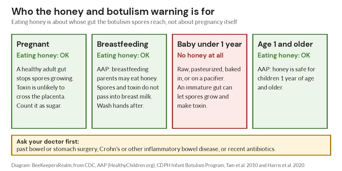 Diagram showing honey is fine in pregnancy, while breastfeeding and after age 1, but not for babies under 1