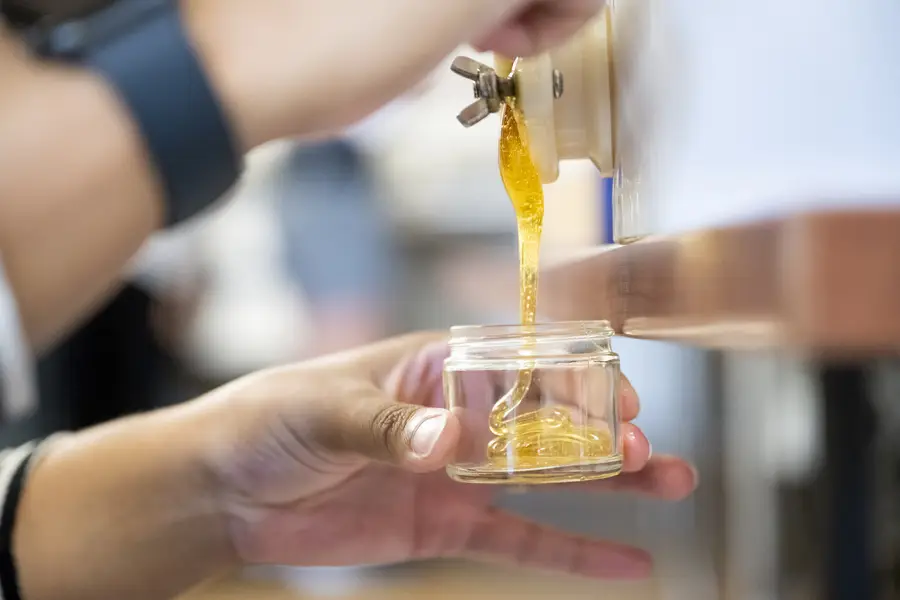 Close-up of golden honey running from the open gate of a honey bucket into a small glass jar held in one hand