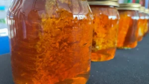 Rows of amber honey in sealed glass jars with metal lids, some holding pieces of comb, on a display table