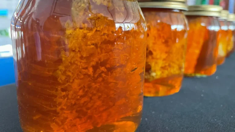 Rows of amber honey in sealed glass jars with metal lids, some holding pieces of comb, on a display table