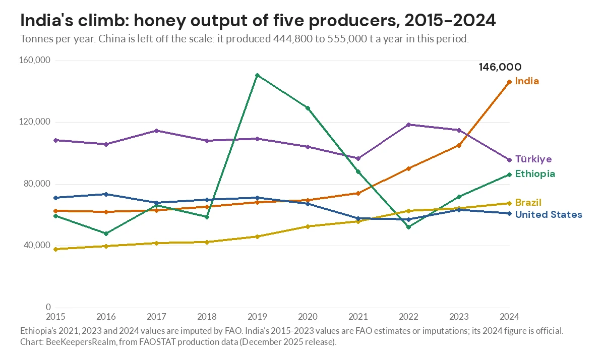 Line chart of honey production from 2015 to 2024 showing India rising past Türkiye while U.S. output edges down