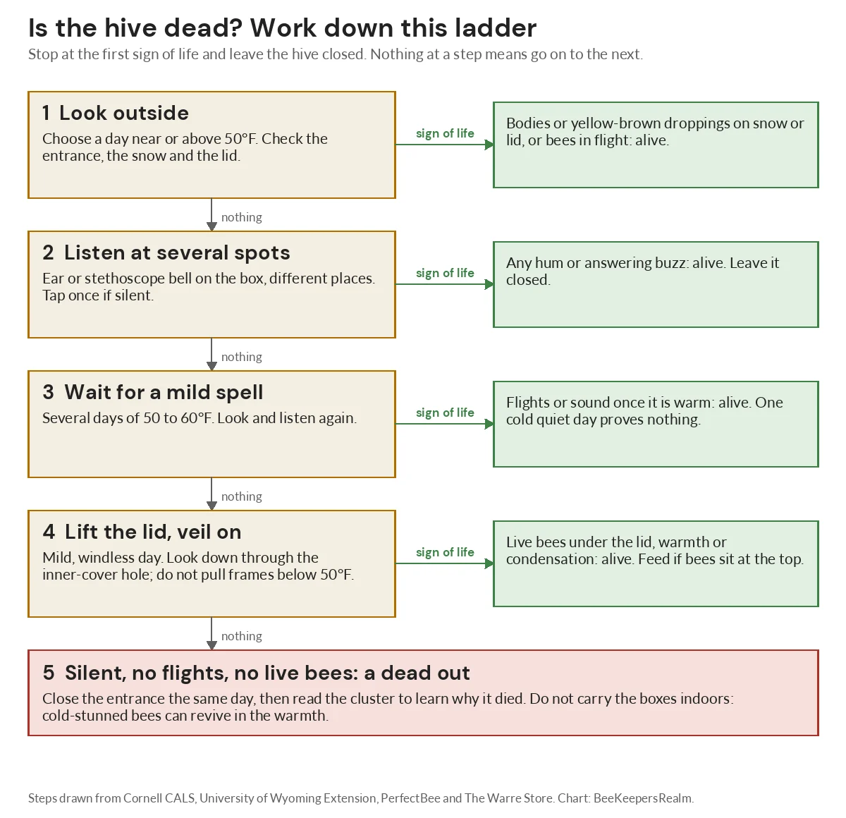 Flowchart of five winter checks for a dead beehive: look outside, listen, wait for a mild spell, lift the lid, then call it