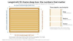 Top-view diagram of a 10-frame Langstroth deep box with outside and inside dimensions and three box depths