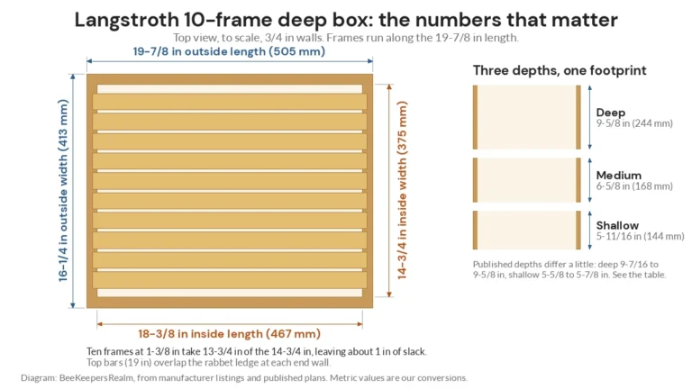 Top-view diagram of a 10-frame Langstroth deep box with outside and inside dimensions and three box depths