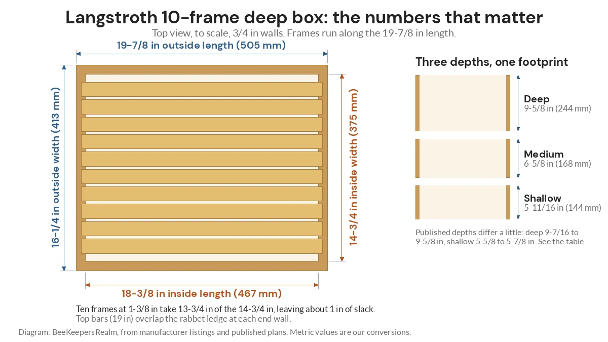Top-view diagram of a 10-frame Langstroth deep box with outside and inside dimensions and three box depths