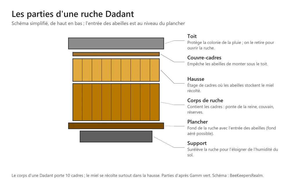 Schéma d’une ruche Dadant de haut en bas : toit, couvre-cadres, hausse, corps de ruche, plancher et support