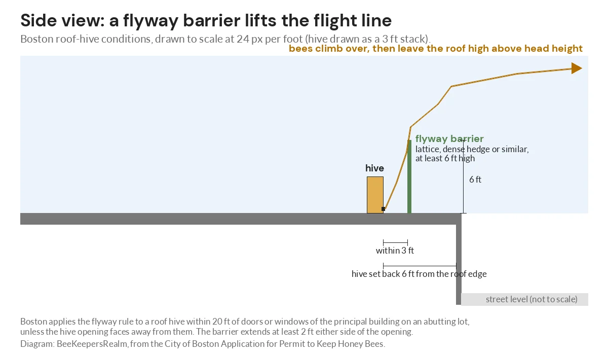 Side-view diagram of a roof hive with a 6 foot flyway barrier within 3 feet of the entrance and 6 foot roof-edge setback