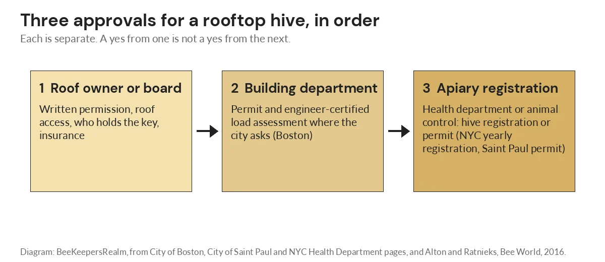Diagram of three approvals for a rooftop hive: roof owner, building department, then health or animal control registration