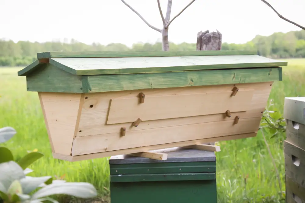Top-bar beehive with sloped sides and a green gabled roof standing on a low support in a meadow with a tree behind