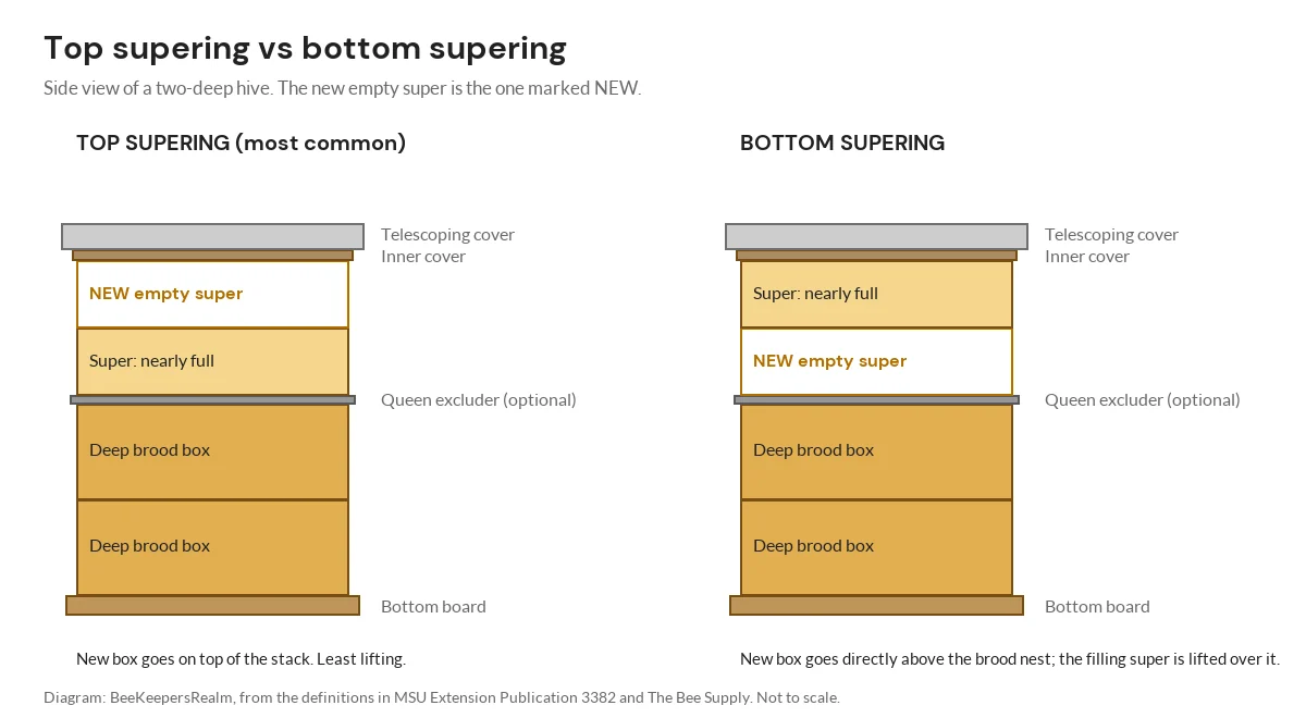 Side-view diagram of a two-deep hive showing where the new empty super goes in top supering and in bottom supering