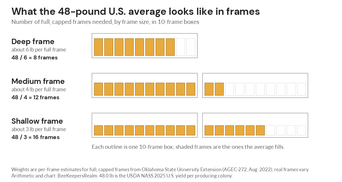 Diagram of 48 pounds of honey as 8 deep frames, 12 medium frames or 16 shallow frames across 10-frame boxes