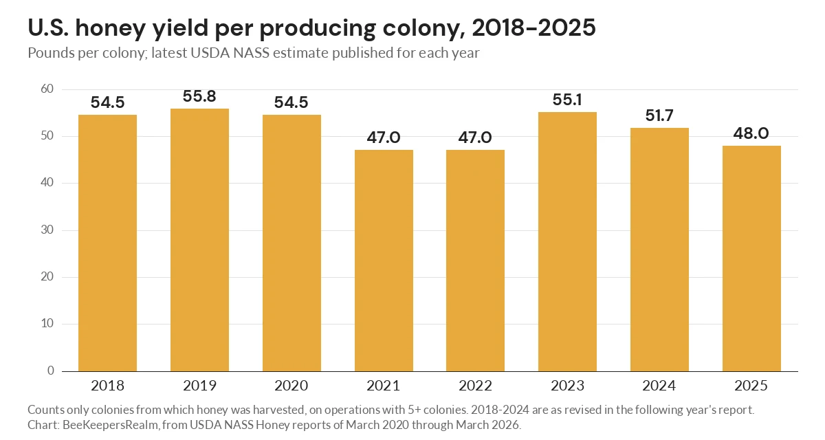 Bar chart of U.S. honey yield per producing colony from 2018 to 2025, between 47.0 and 55.8 pounds, ending at 48.0