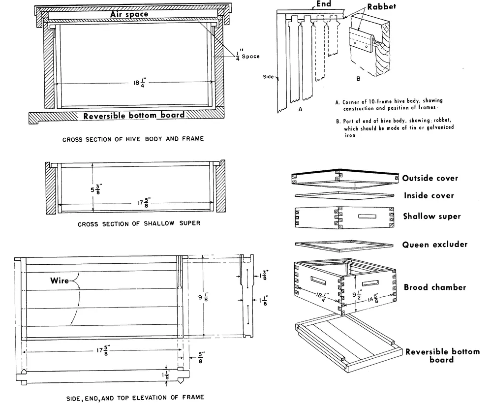 1967 USDA line drawing of a Langstroth 10-frame hive with box, shallow super and frame dimensions marked