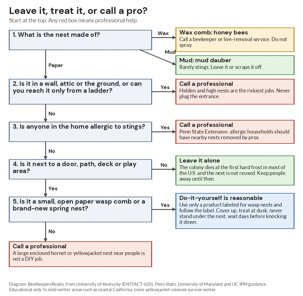 Flowchart for deciding whether to leave a wasp nest, treat it yourself, call a pro or call a beekeeper