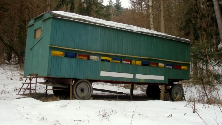 Green mobile apiary wagon with colorful hive entrances standing in a snowy forest clearing in winter