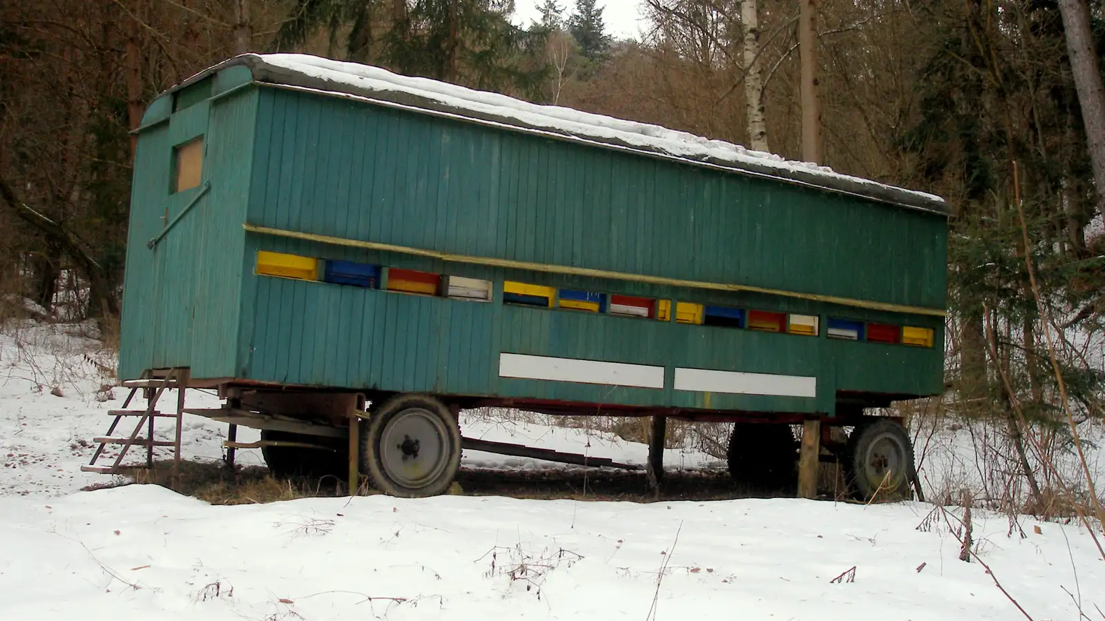 Green mobile apiary wagon with colorful hive entrances standing in a snowy forest clearing in winter