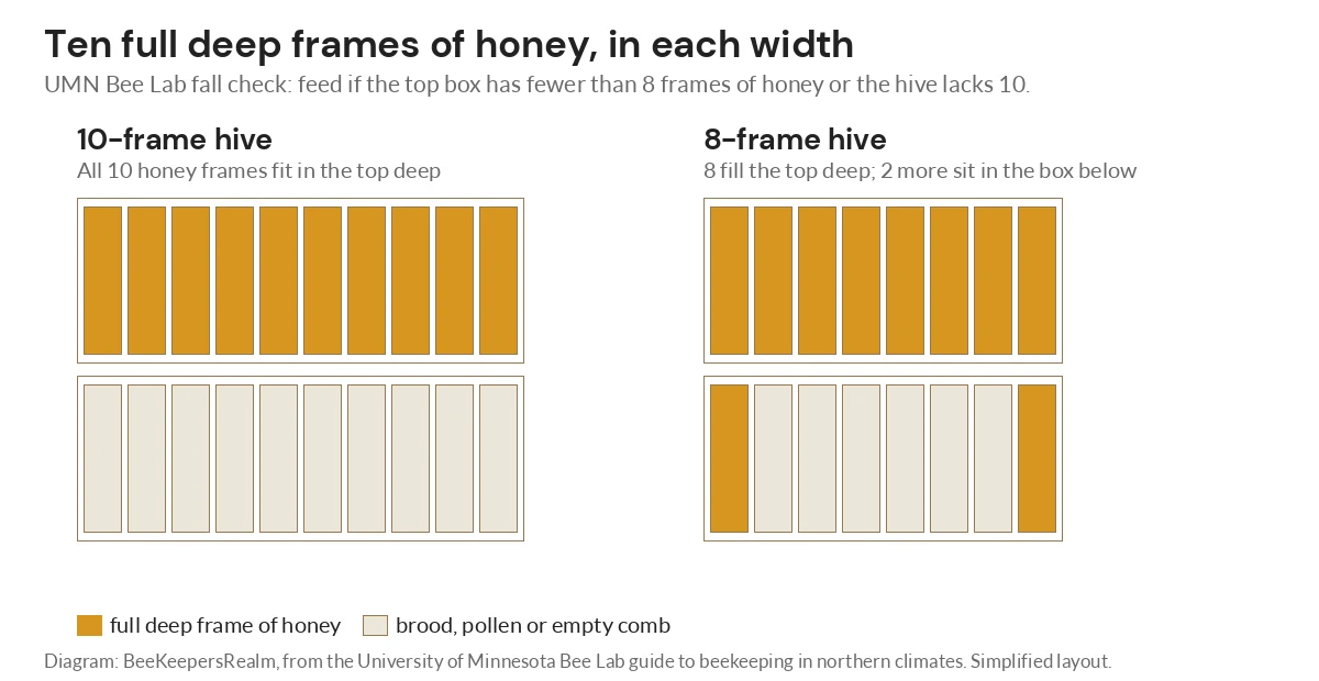 Diagram showing ten full deep frames of honey stored in a 10-frame hive versus spread over two 8-frame boxes