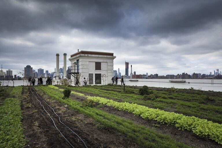 Rooftop farm rows atop a commercial building at the Brooklyn Navy Yard, site of New York City's largest rooftop apiary
